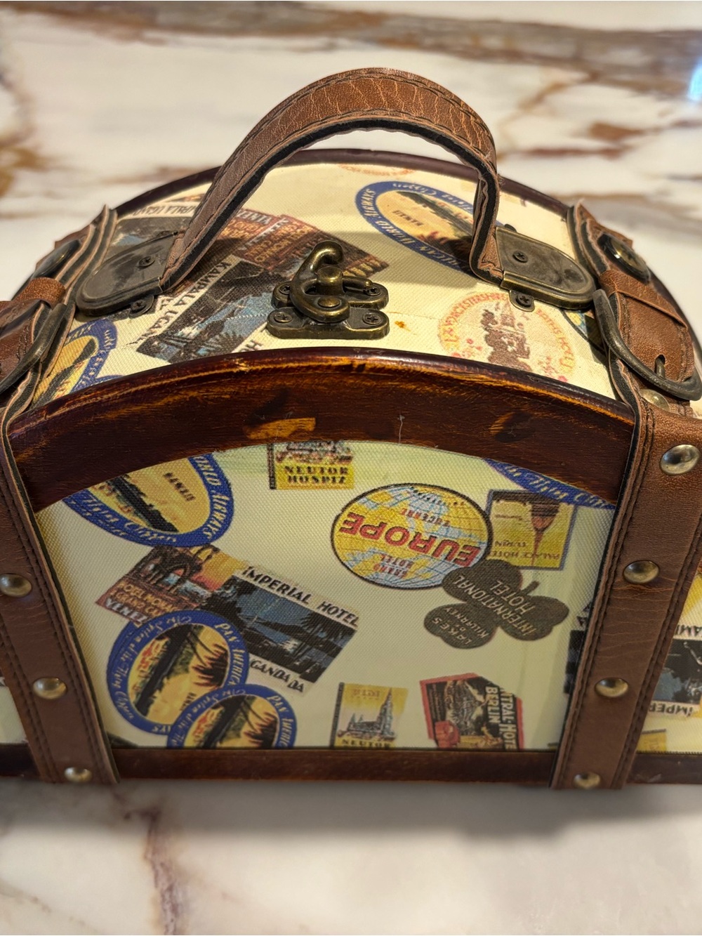 Vintage-Inspired Brown & Cream Travel Print Carry Bag